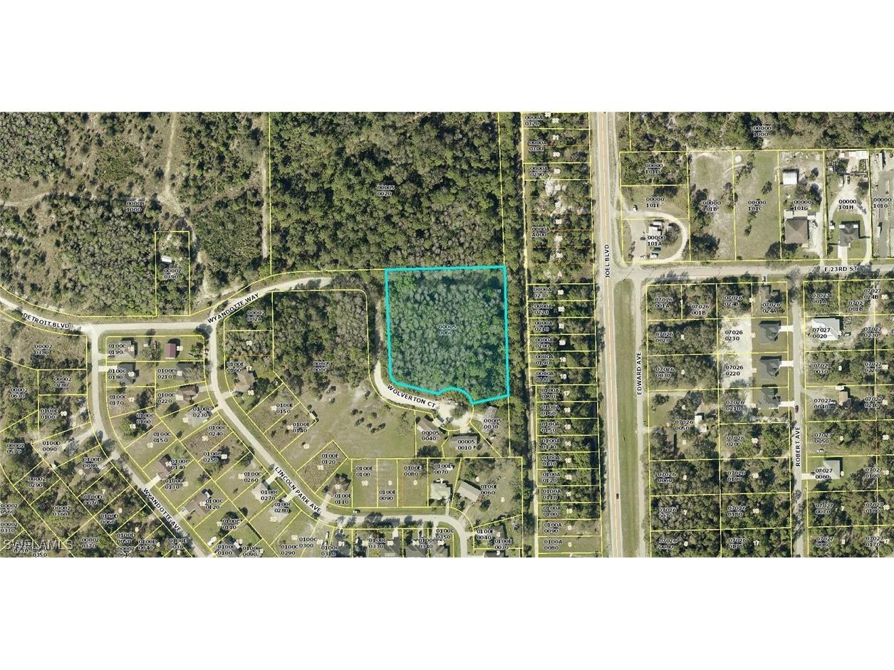 2201 Wyandotte Avenue Alva FL 33920 225012248 image1