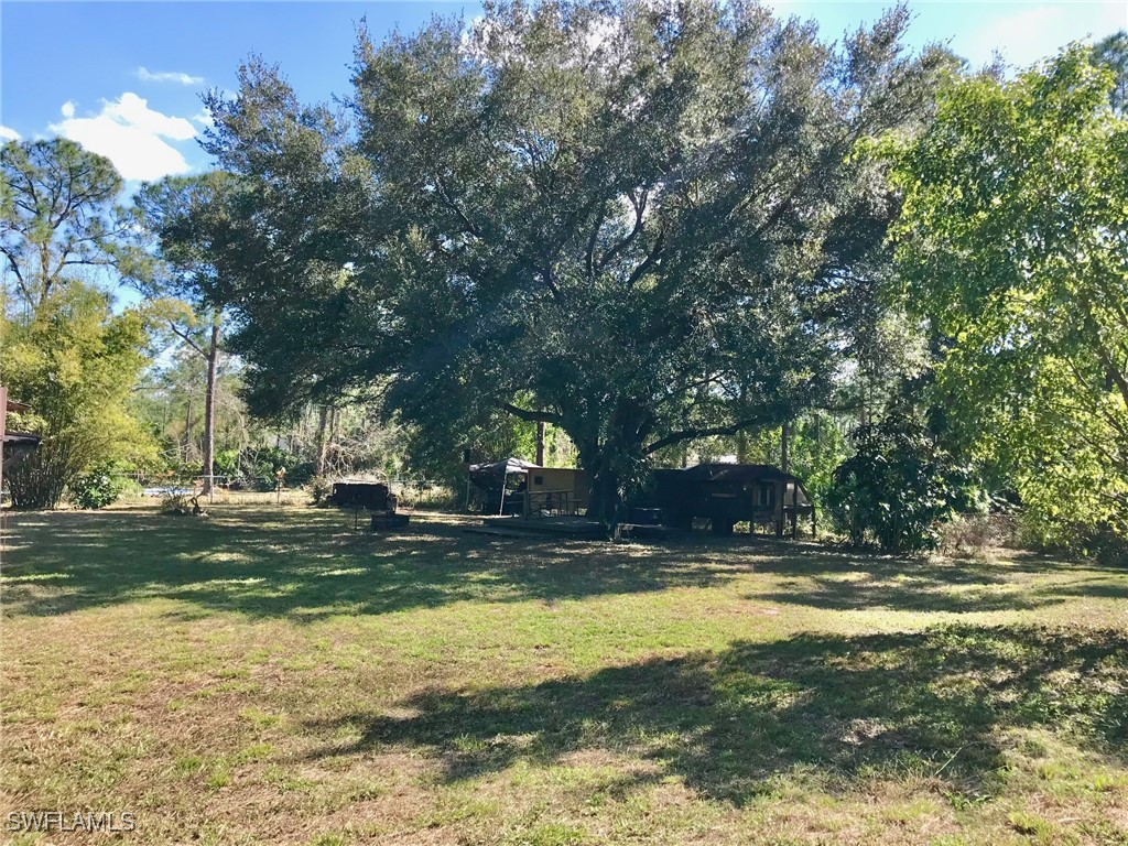 2208 Jackson Avenue Alva FL 33920 225024531 image38