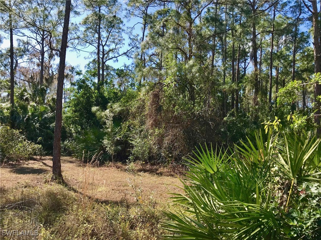 2208 Jackson Avenue Alva FL 33920 225024531 image39