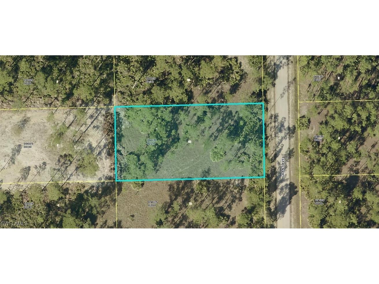 2219 Grant Avenue Alva FL 33920 225024157 image1