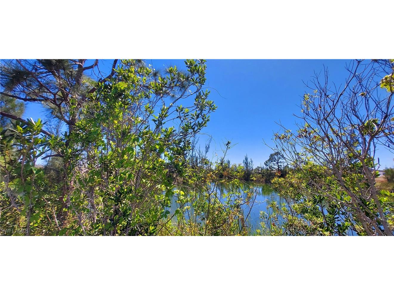 2230 NW 21st Street Cape Coral FL 33993 225027092 image4