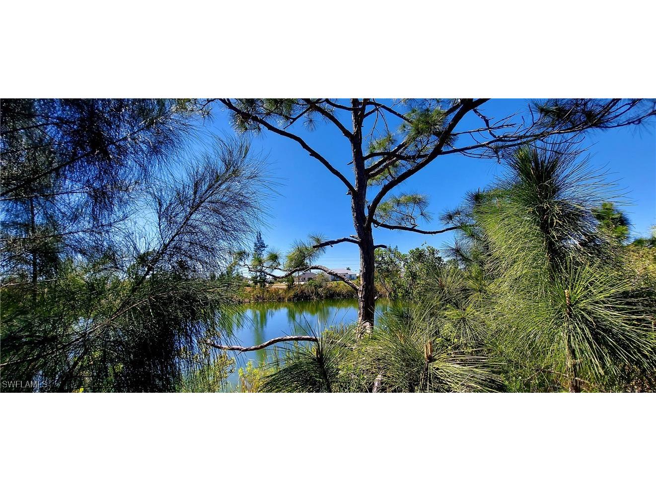 2230 NW 21st Street Cape Coral FL 33993 225027092 image6