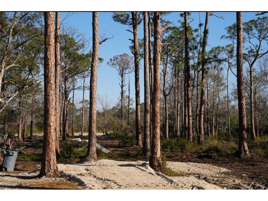 22511 Williams Drive North Fort Myers FL 33917 225002705 image6