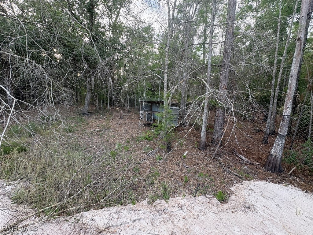 22655 Tinas Lane Fort Myers FL 33913 225026075 image22