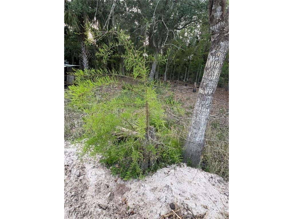 22655 Tinas Lane Fort Myers FL 33913 225026075 image23