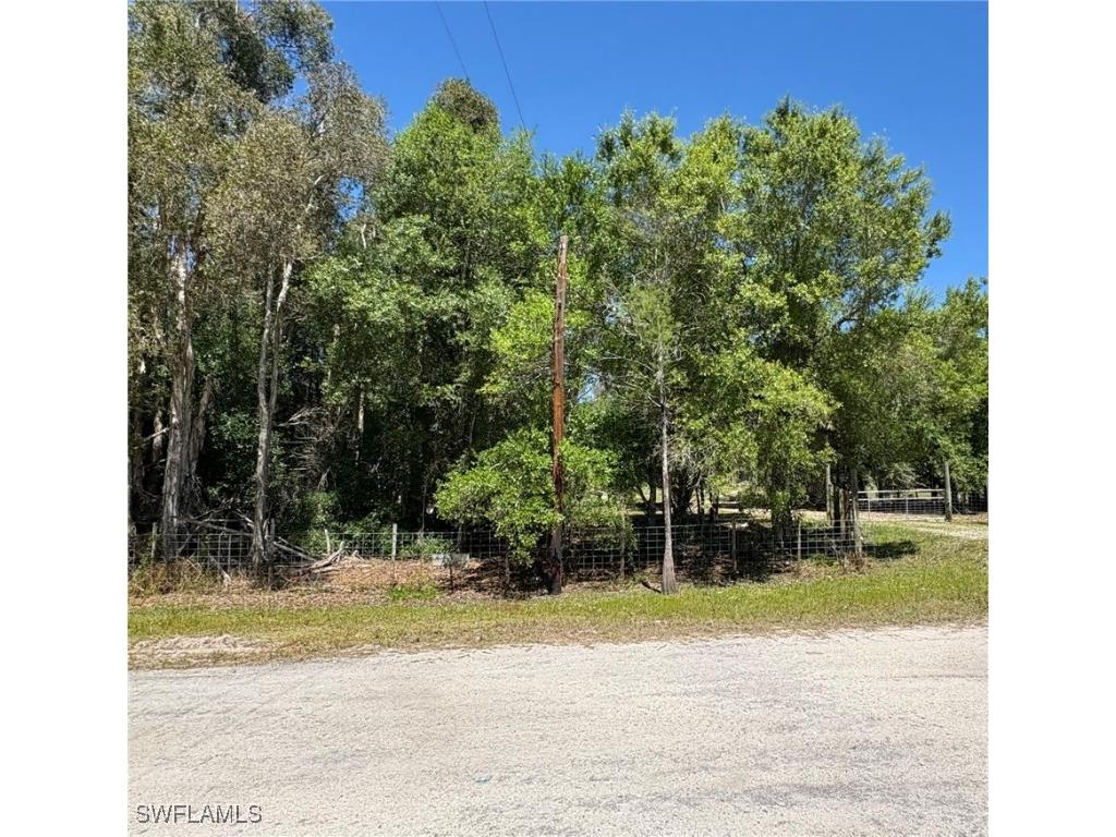 22655 Tinas Lane Fort Myers FL 33913 225026075 image4