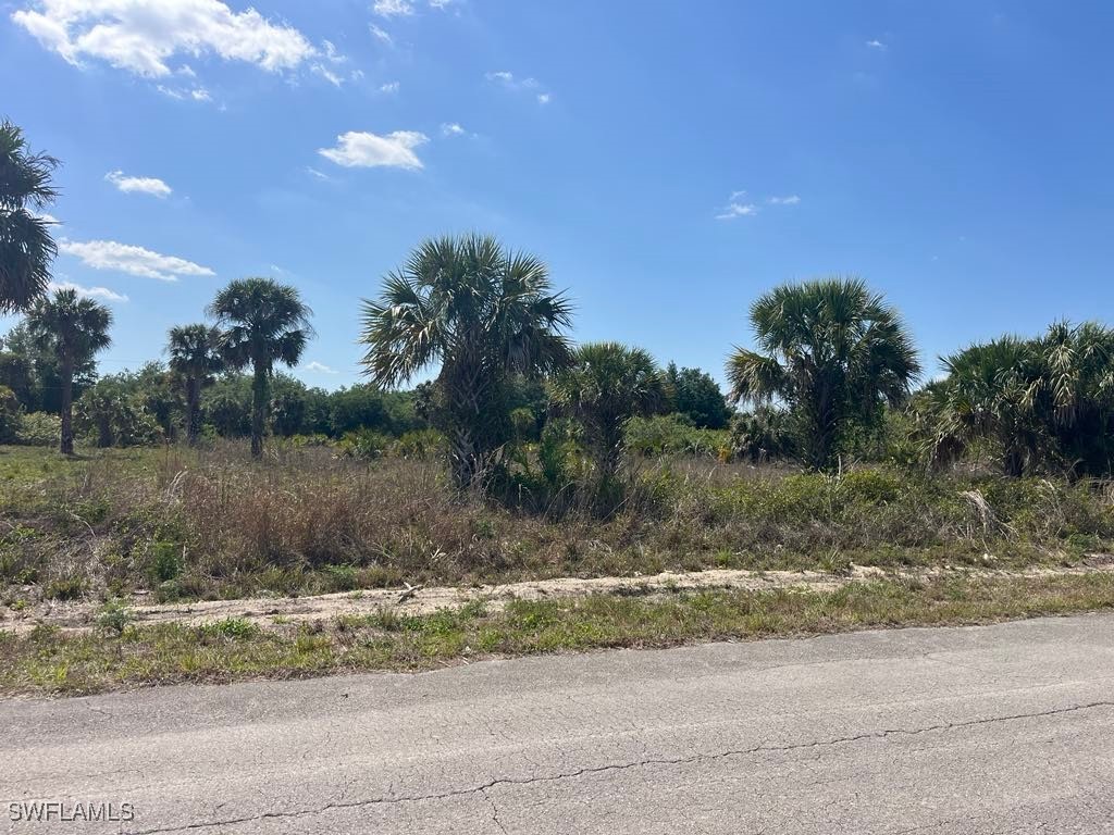 2306 Fitch Avenue Fort Myers FL 33920 225044155 image1