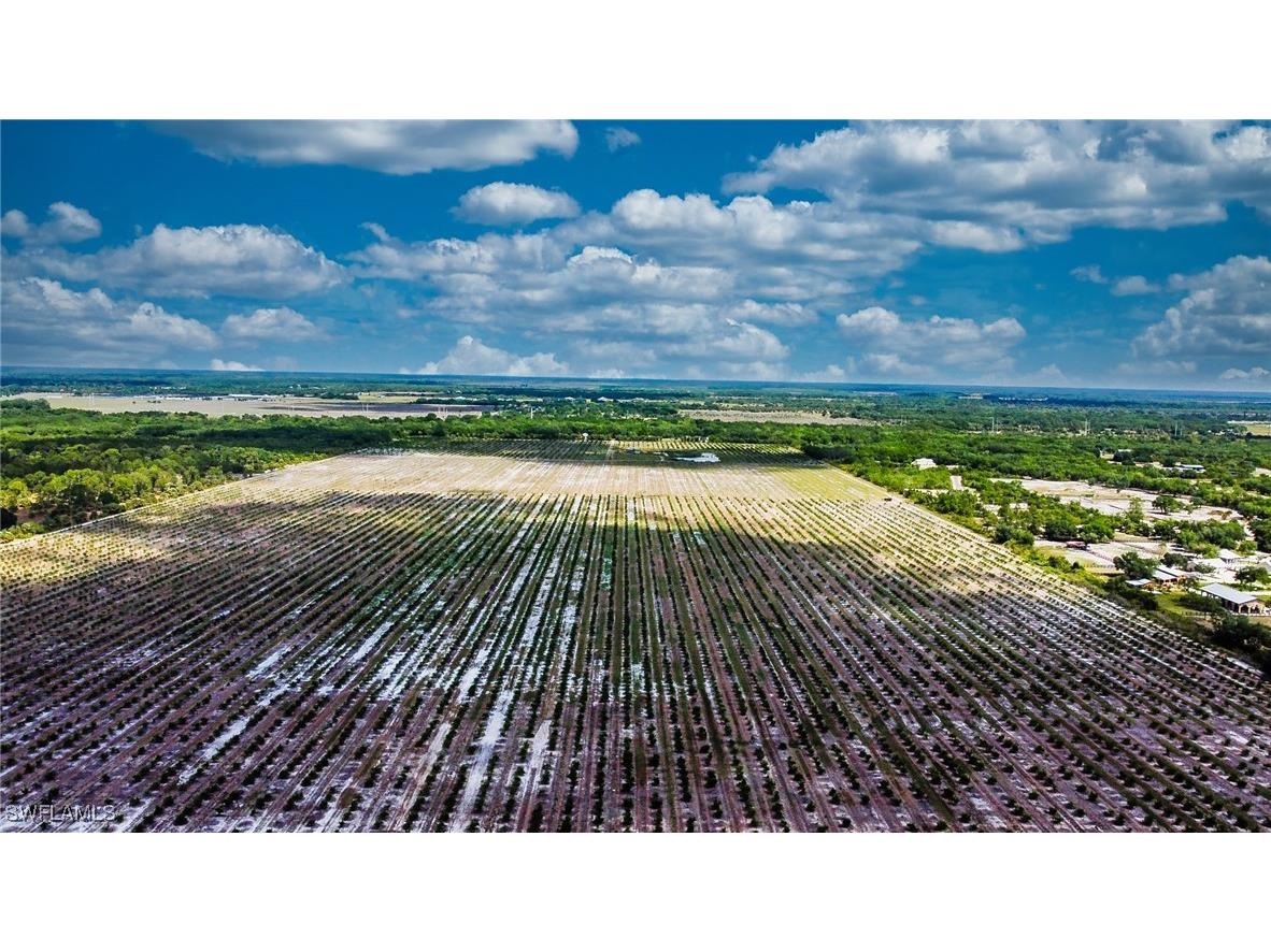 2321 Leroy Avenue Alva FL 33920 225034167 image3