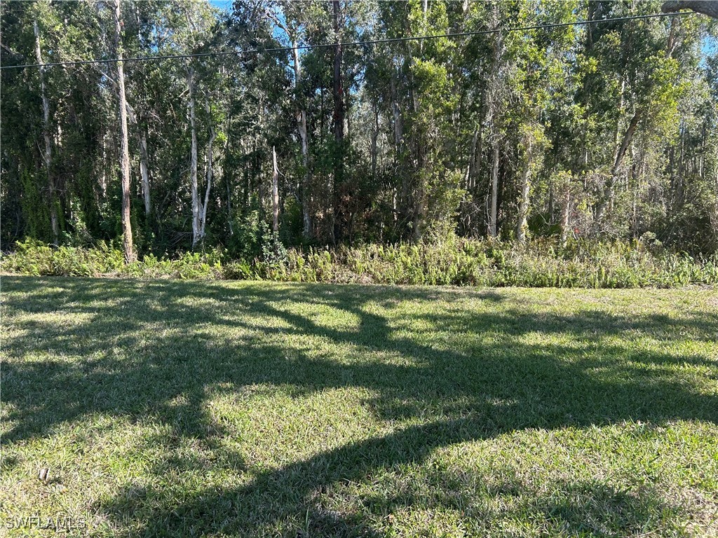 23465 Olde Meadowbrook Circle Estero FL 34134 225011234 image18