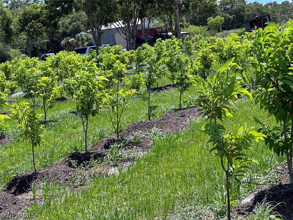 23660 Tinas Lane Fort Myers FL 33913 224049733 image26