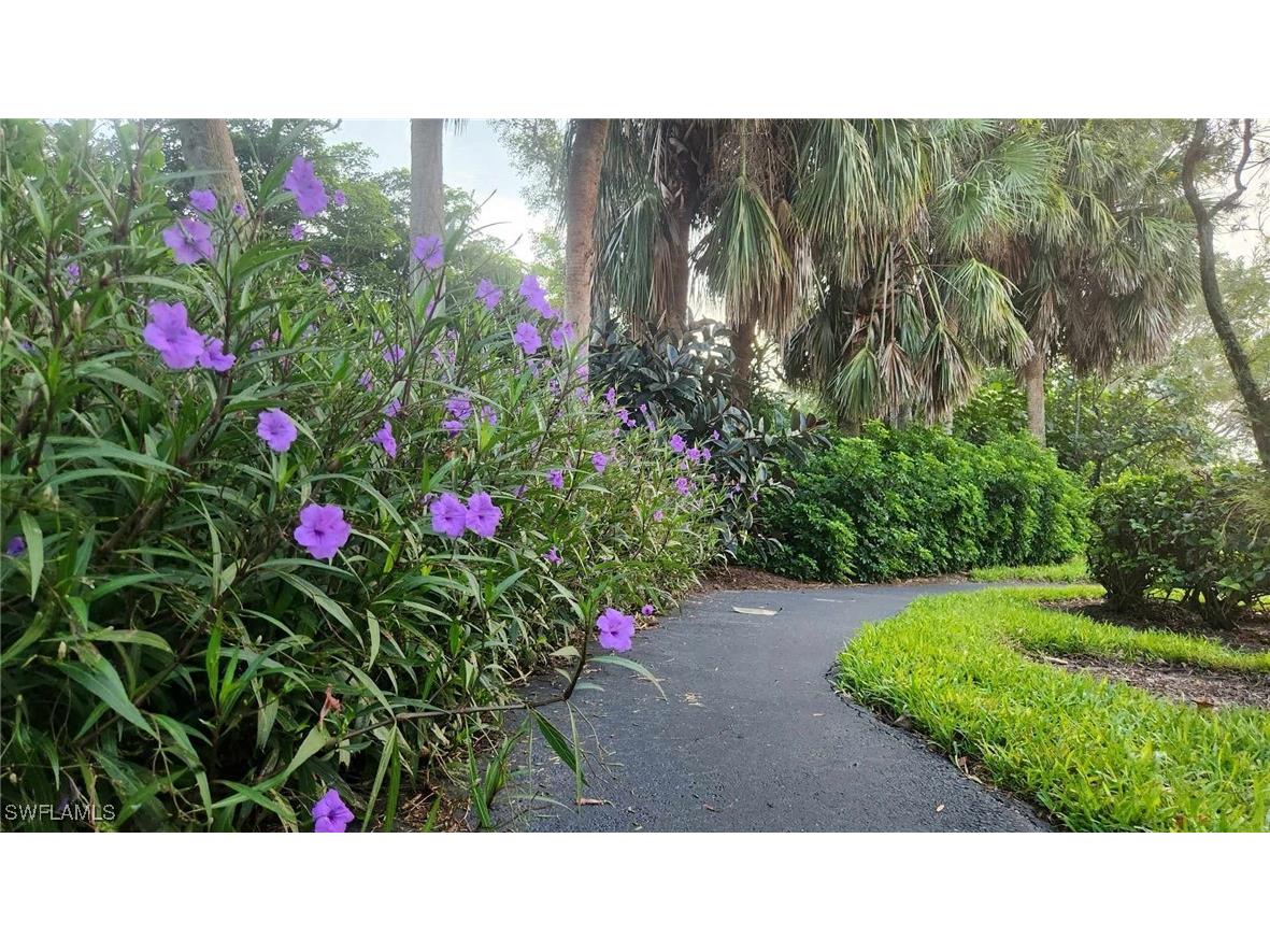 23821 Marbella Bay Road #102 Estero FL 34135 225043856 image28