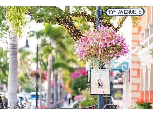 239 Torrey Pines Point Naples FL 34113 225046378 image36