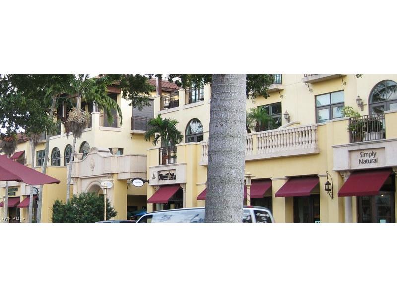 239 Torrey Pines Point Naples FL 34113 225046378 image39