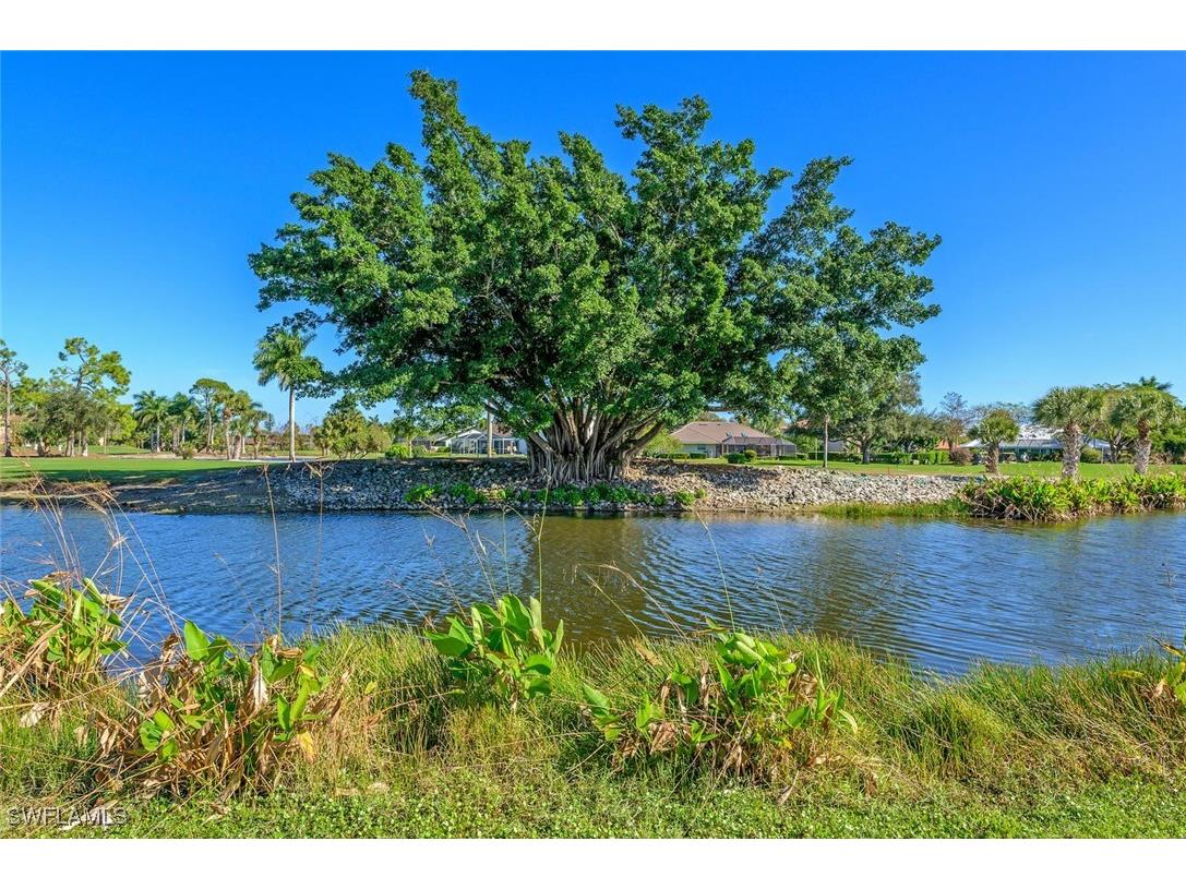 239 Torrey Pines Point Naples FL 34113 225046378 image4