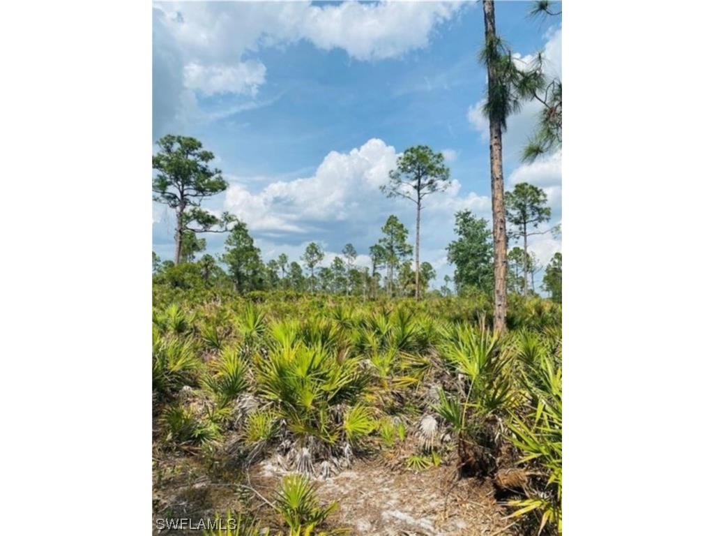 2400 State Road 31 Punta Gorda FL 33982 224004640 image3