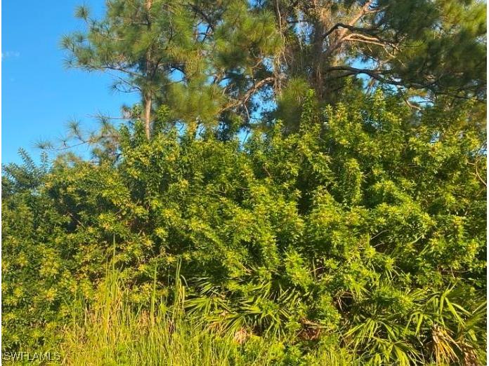 2401/2403 Owen Avenue S Lehigh Acres FL 33973 225009589 image1