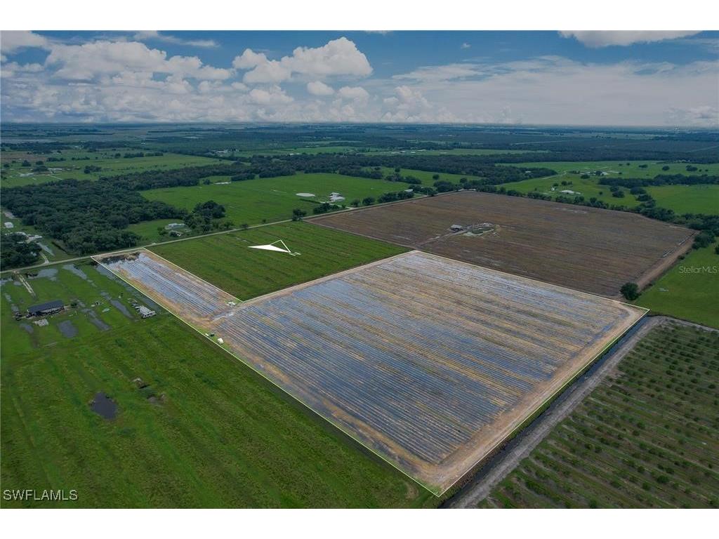 2404 SE Rice Street Arcadia FL 34266 225017055 image4