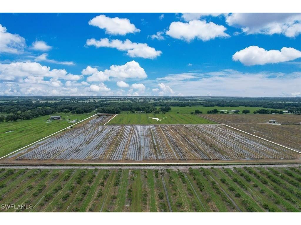 2404 SE Rice Street Arcadia FL 34266 225017055 image7