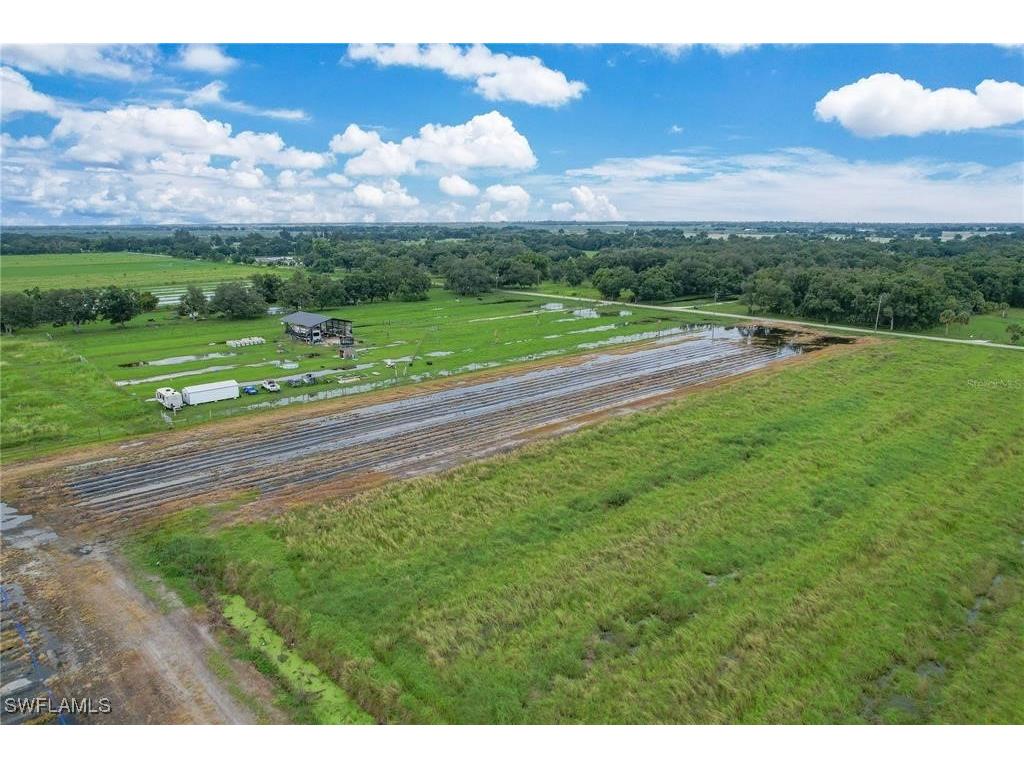 2404 SE Rice Street Arcadia FL 34266 225017055 image8