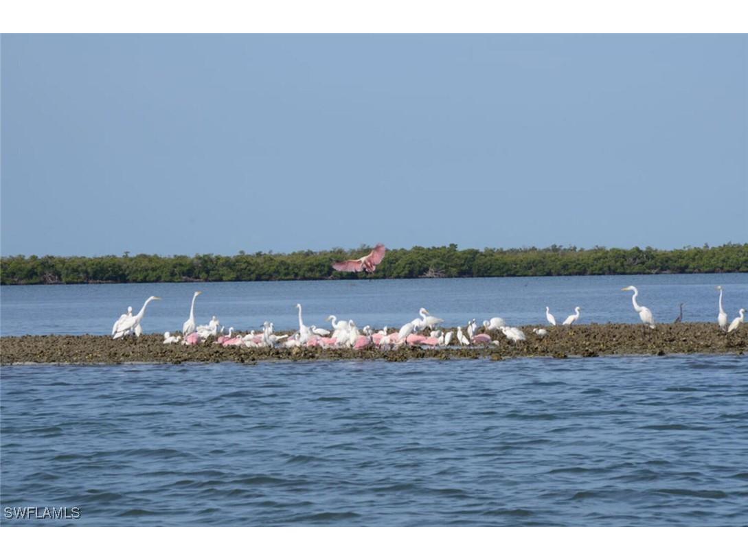 242 Newport Drive #504 Naples FL 34114 225042110 image38