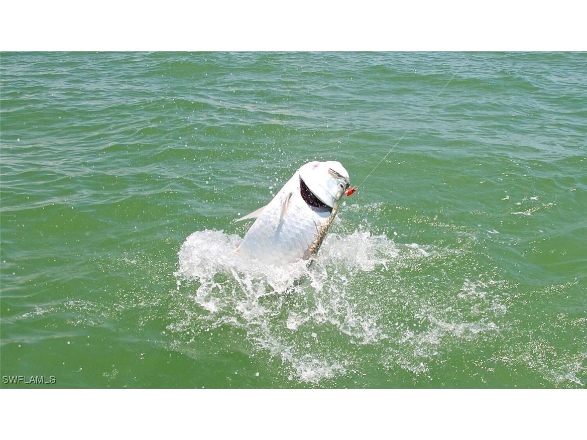 242 Newport Drive #504 Naples FL 34114 225042110 image40