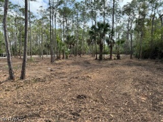 24443 Rocky Road Bonita Springs FL 34135 224001537 image1