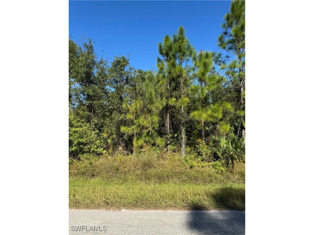 2501 E 9th Street Lehigh Acres FL 33936 224096031 image1