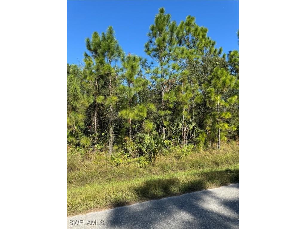 2501 E 9th Street Lehigh Acres FL 33936 224096031 image2