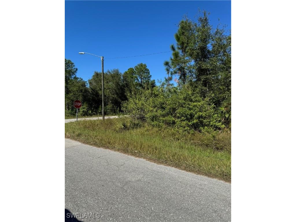 2501 E 9th Street Lehigh Acres FL 33936 224096031 image3