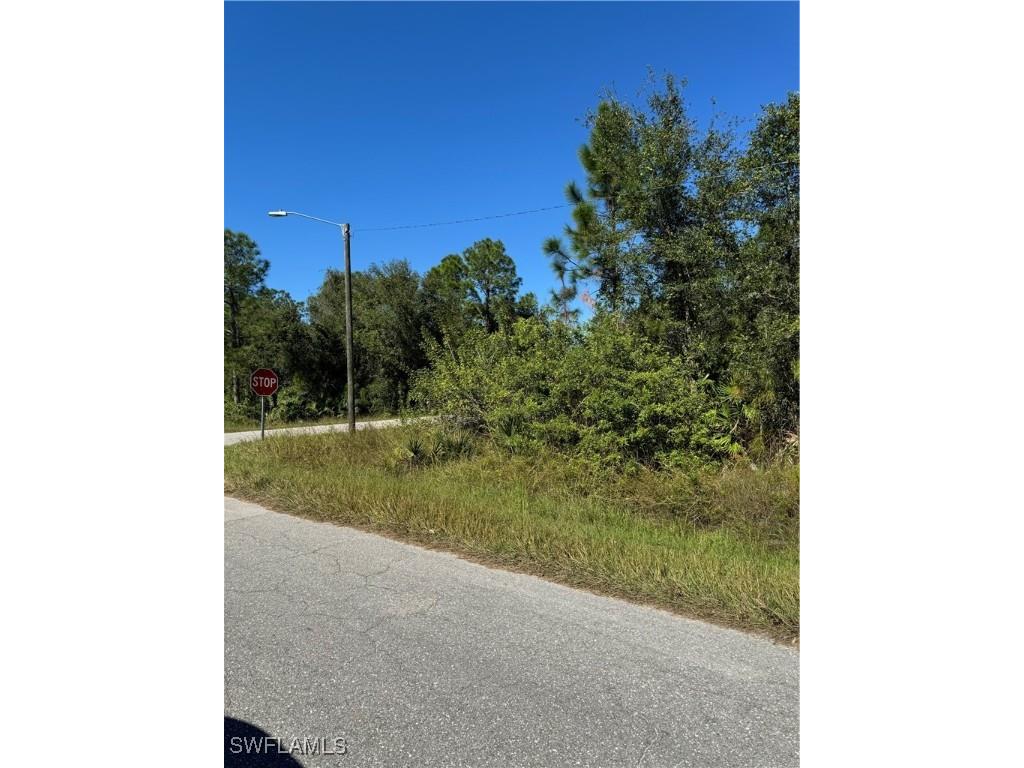 2501 E 9th Street Lehigh Acres FL 33936 224096031 image4