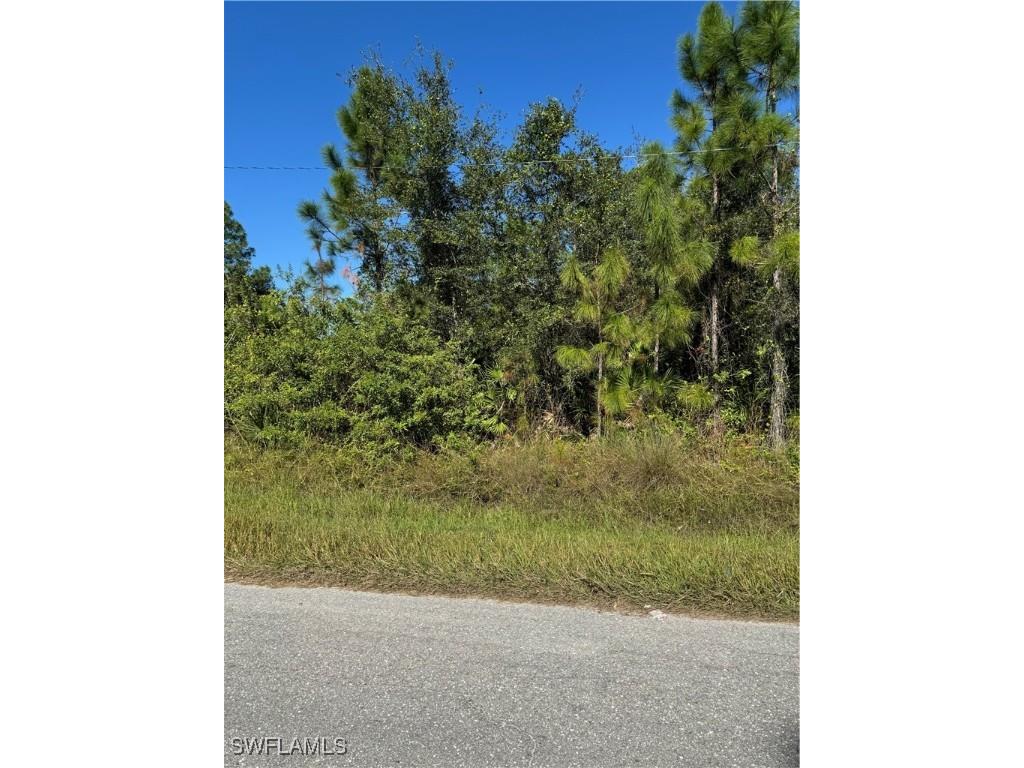 2501 E 9th Street Lehigh Acres FL 33936 224096031 image5