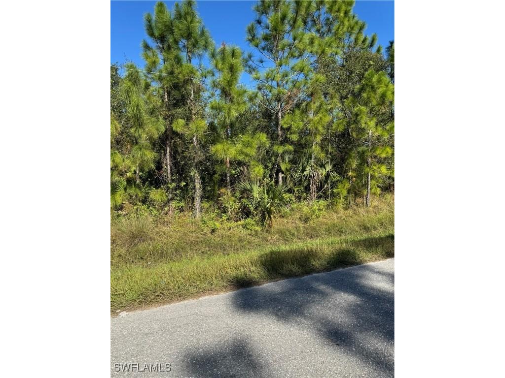 2501 E 9th Street Lehigh Acres FL 33936 224096031 image6