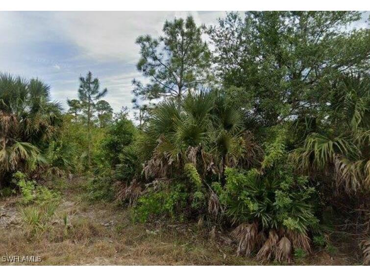 2517 Catron Circle Lehigh Acres FL 33971 225042191 image2