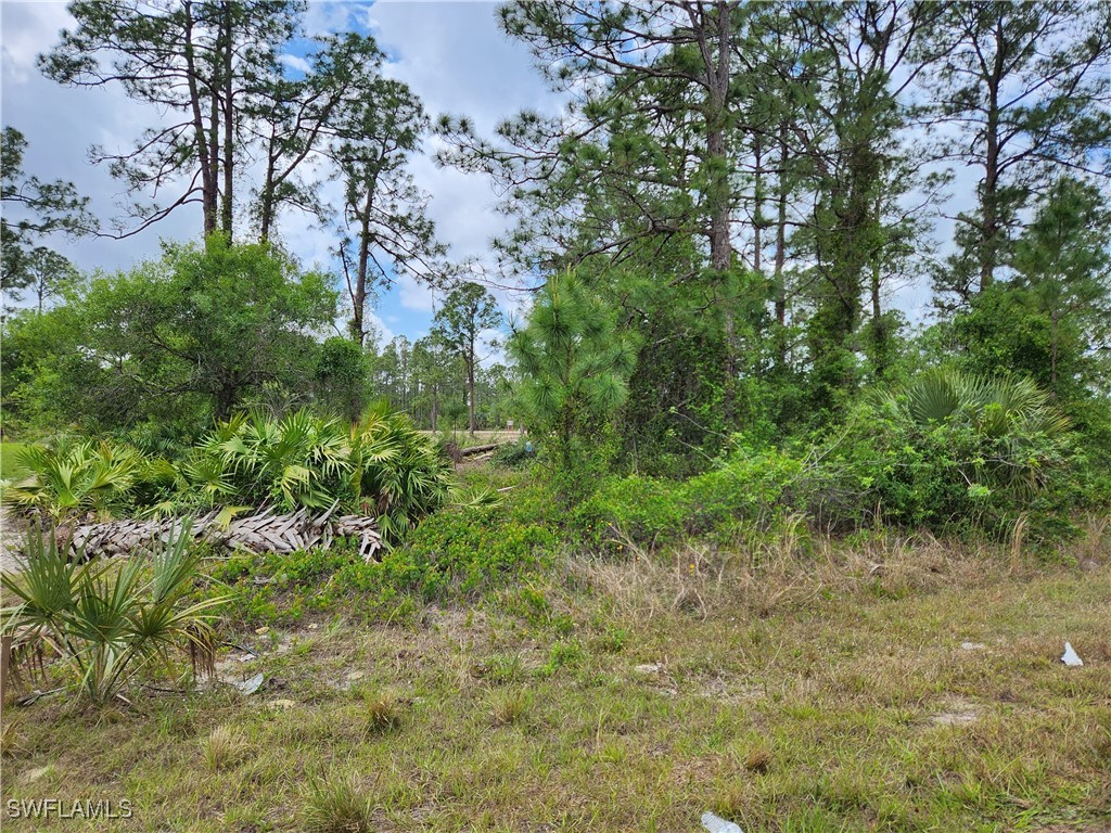 2603 33rd Street W Lehigh Acres FL 33971 225033067 image5