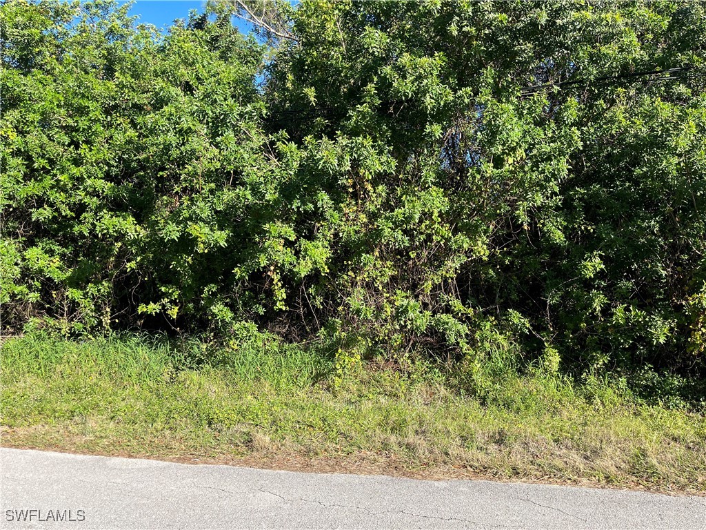 2603 E 7th Street Lehigh Acres FL 33936 225012219 image3