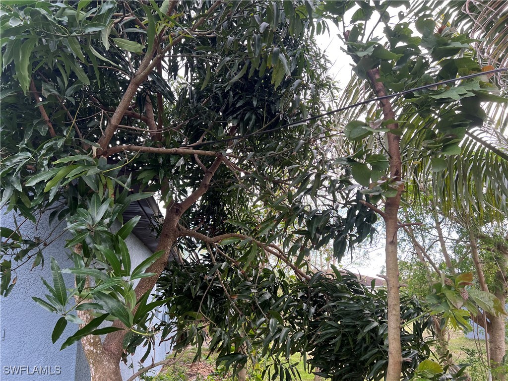 2609 4th Street SW Lehigh Acres FL 33976 225028276 image19