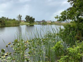 2615 SW 2nd Terrace Cape Coral FL 33991 223051674 image5