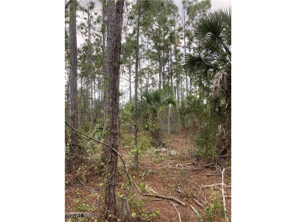 26373 & 26377 Deer Road Punta Gorda FL 33955 224071088 image9