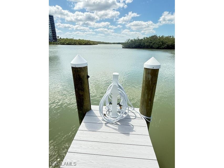 268B Wiggins Bay Drive Naples FL 34110 225036791 image8