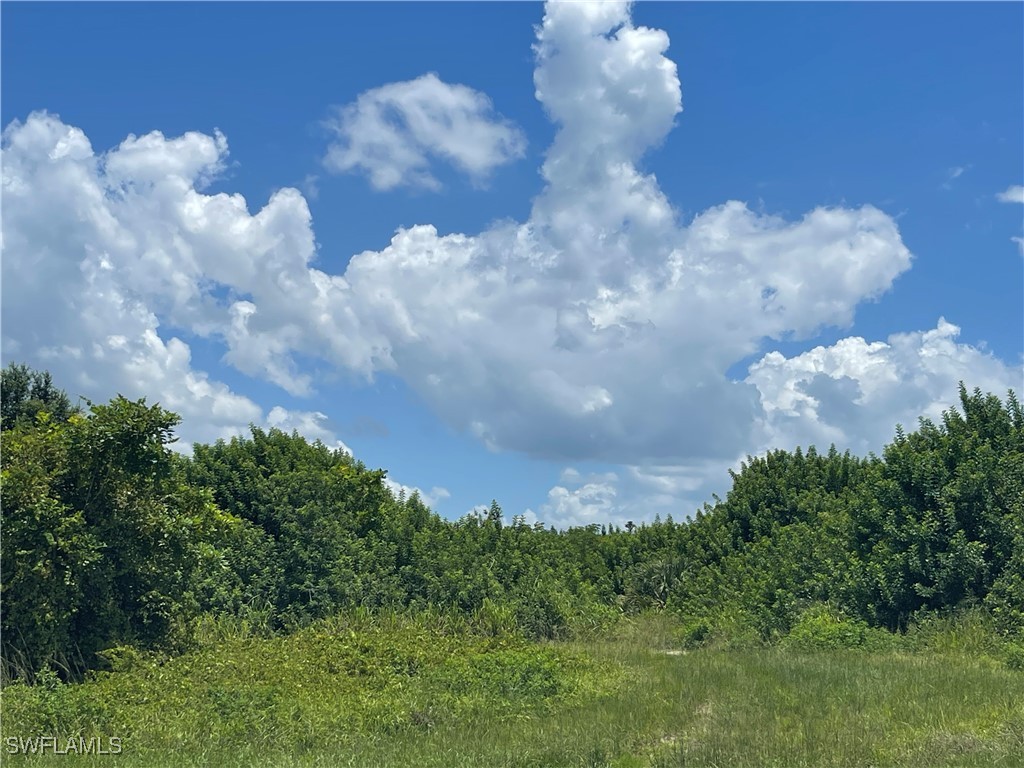 2703 NE 22nd Place Cape Coral FL 33909 224063964 image2