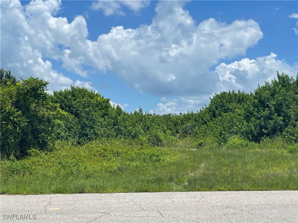 2703 NE 22nd Place Cape Coral FL 33909 224063964 image3