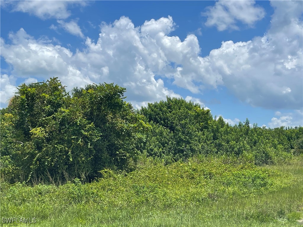 2703 NE 22nd Place Cape Coral FL 33909 224063964 image4