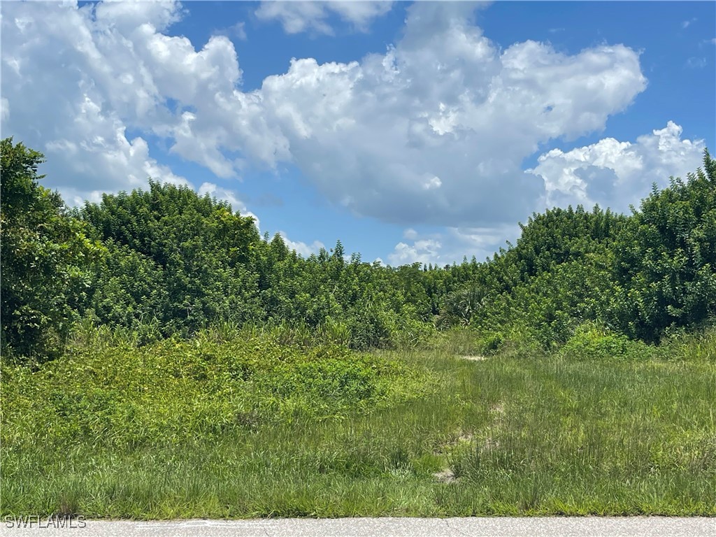 2703 NE 22nd Place Cape Coral FL 33909 224063964 image5