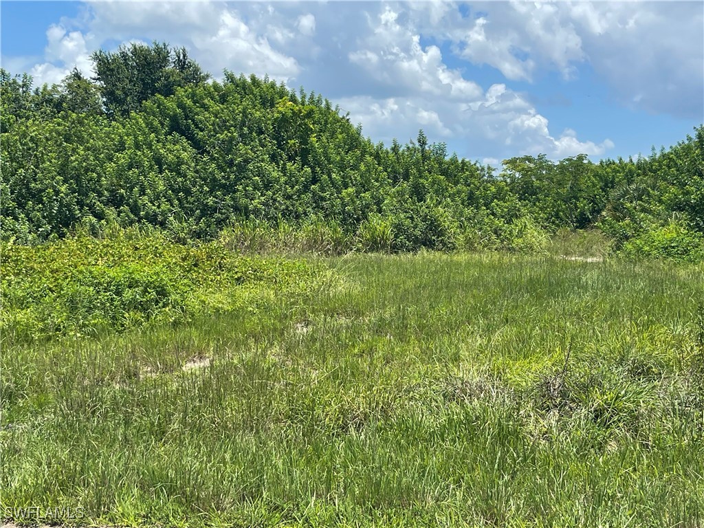 2703 NE 22nd Place Cape Coral FL 33909 224063964 image6