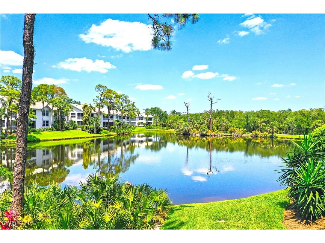 27071 Lake Harbor Court #103 Bonita Springs FL 34134 225039119 image28