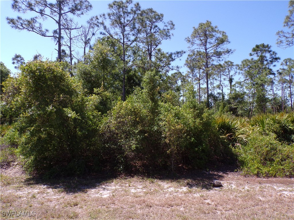 27077 Pasadena Drive Punta Gorda FL 33955 225047760 image5