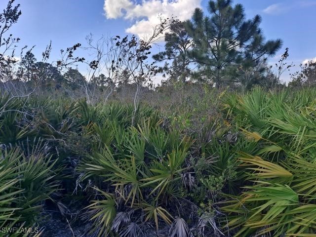 2708 38th Street W Lehigh Acres FL 33971 224082185 image3