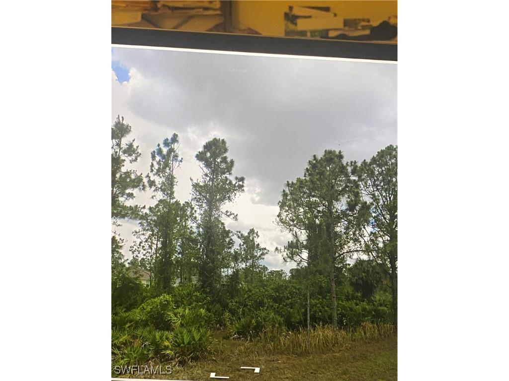 2709 19th Street W Lehigh Acres FL 33971 225044696 image2