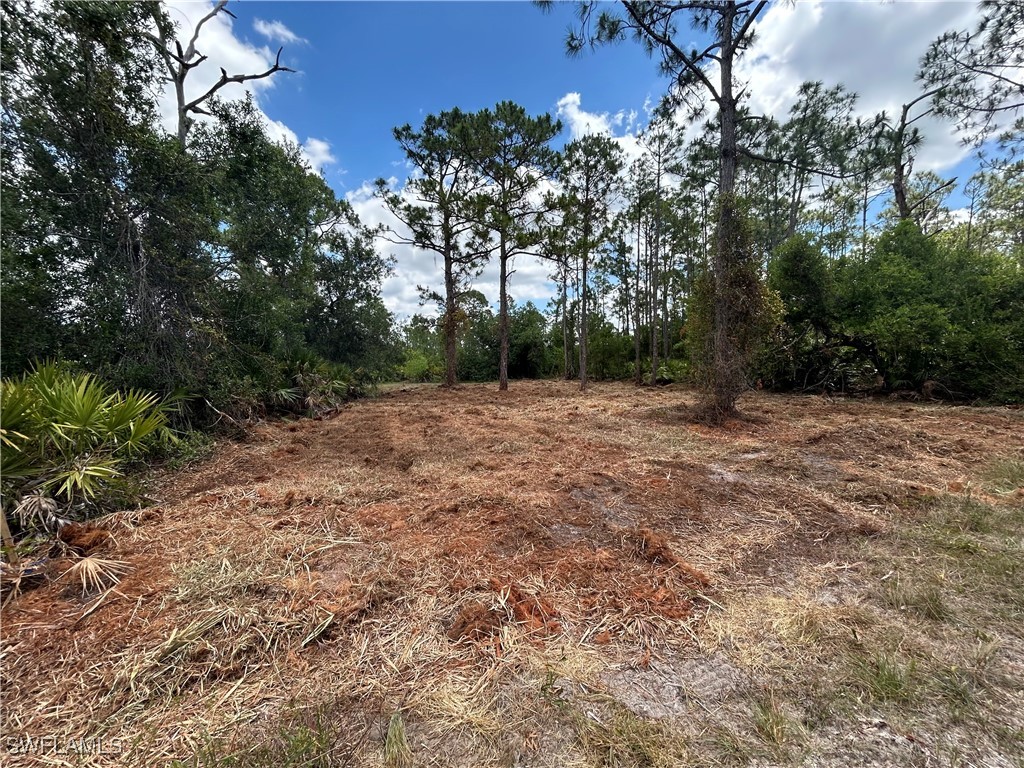 27242 Mandarin Drive Punta Gorda FL 33955 225049106 image1