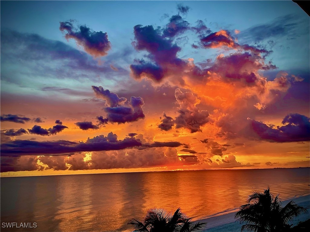 27390 Hickory Boulevard Bonita Springs FL 34134 224103646 image49